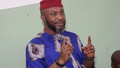 PDP Will Die If Party Not Reformed — Chidoka