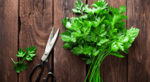 Top 15 Nutritional Benefits of Fresh Herbs for Health Conditions