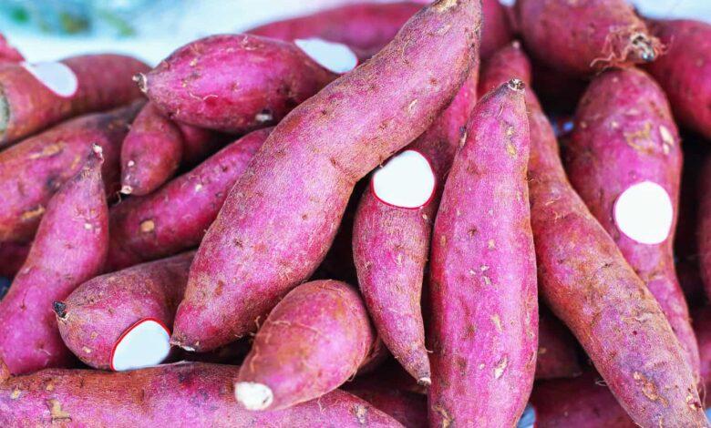 Top 15 Surprising Health Benefits of Sweet Potatoes in Nigeria