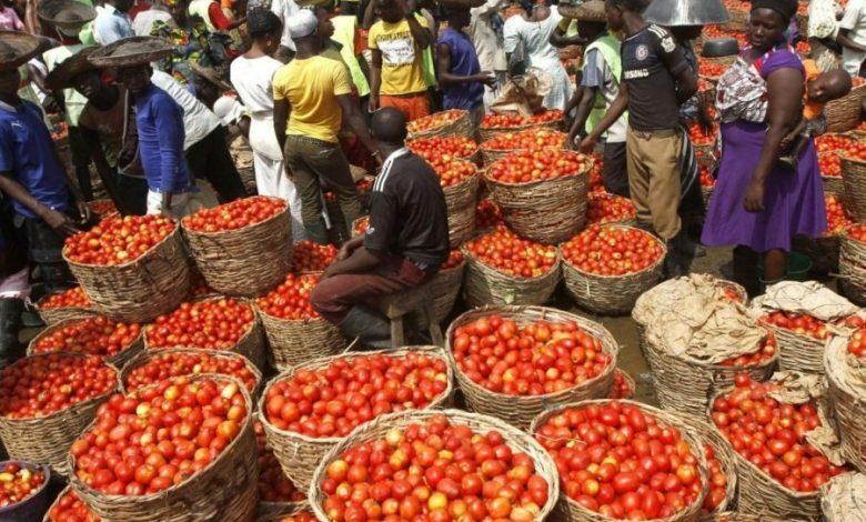 Nigeria Sets To Stop Taxes On Tomatoes, Other Raw Food Items
