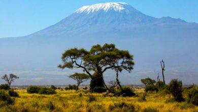 Top 15 Highest Mountains in Africa
