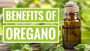 Top 15 Science-Based Health Benefits of Oregano