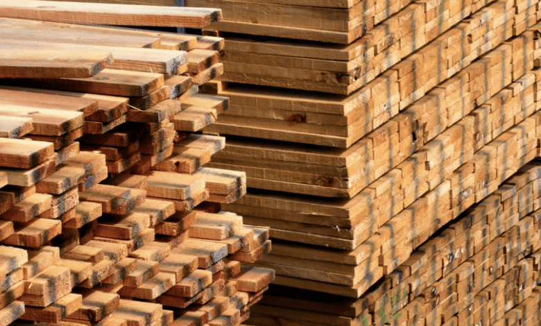 Top 15 Timber-Producing Countries in Asia