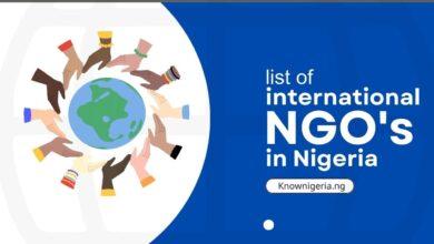 Top 15 Youth Development NGOs in Nigeria