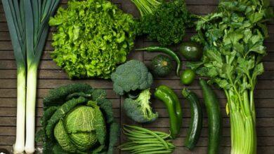 Best 15 Vegetables That are Good for your Bones