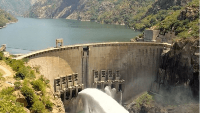Cameroon notified us 7 days after opening of Lagdo Dam – Nigerian Govt
