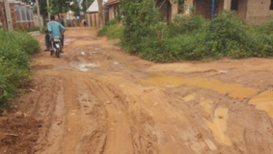 My Govt Built Roads That Won’t Need Maintenance In 50 Years, Minister Umahi