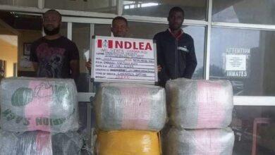NDLEA Recovers N4.8bn Opioids In Lagos 