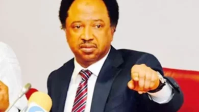 Citizens Will Soon Beg Nigerian Govt To Leave Them In Poverty – Shehu Sani