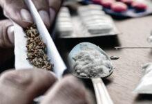 Anti-drug abuse campaign to hold in Ogun schools: PSN