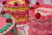 Top 15 Gourmet Cake Makers