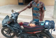 Police Apprehend 22-year-old Suspected Rapist, Armed Robber in Ondo