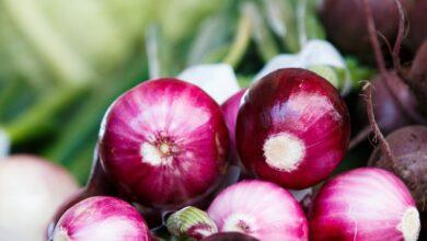 15 Amazing Health Benefits of Onions