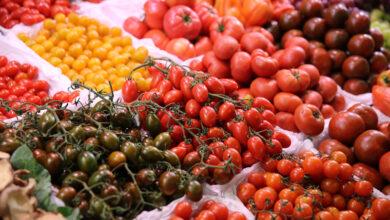Top 15 Reasons Why You Should Be Eating More Tomatoes
