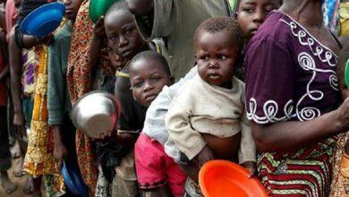 2.6 million Nigerians may go hungry in 2024 -FAO