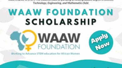 WAAW Foundation Scholarship for Female African Students