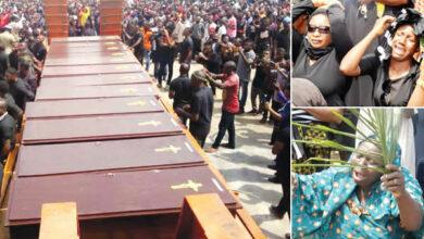 FG must prosecute those behind killings -Anyaoku