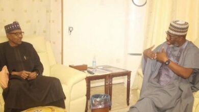 I visited Buhari to discuss Igbo presidency – Segun Sowunmi slams Obidients