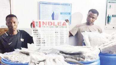 NDLEA intercepted 876kg of cocaine in 2023 – Tincan commander