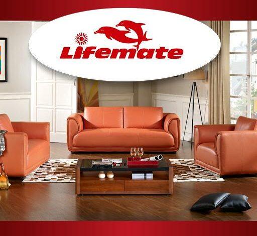 Lifemate Nigeria Limited Recruitment
