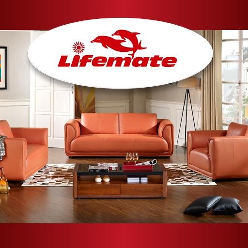 Lifemate Nigeria Limited Recruitment 2024(9 Positions)