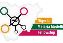 Malaria Modelling Fellowship Program