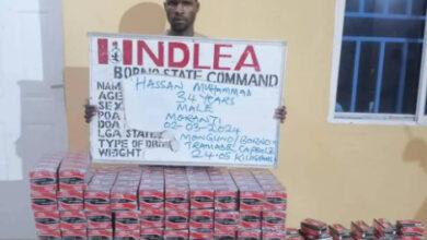 34-year-old man arrested with 44,950 pills of tramadol in Borno