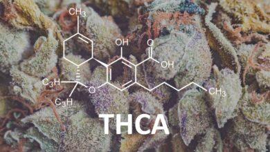 What Is THCA? Differences, Benefits, Side Effects, Products, Legality & More
